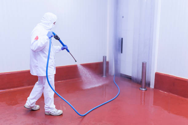 Best Roof Cleaning and Mildew Removal in Winter Gardens, CA