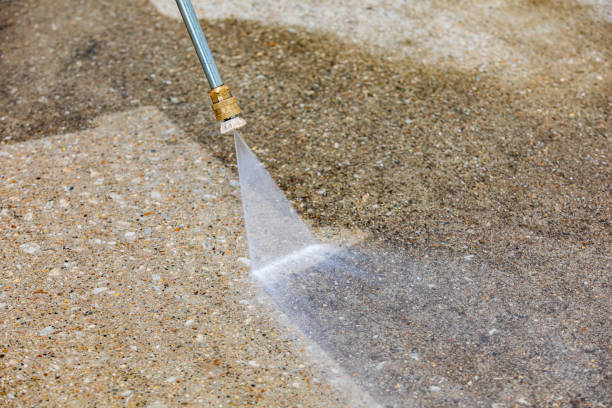 Best Soft Washing for Delicate Surfaces in Winter Gardens, CA